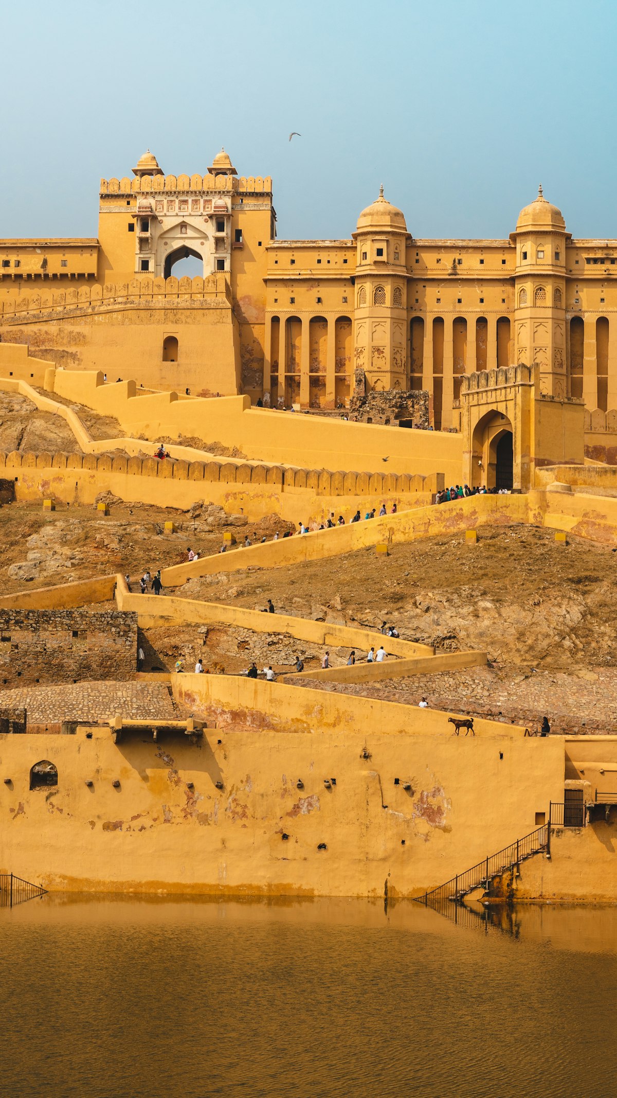 Amber Fort Palace Jaipur, India