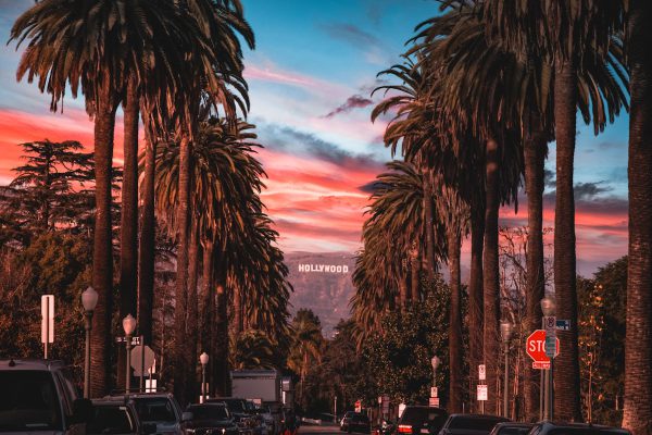 Half-Day Sightseeing Tour of the Best of Los Angeles