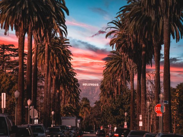 Half-Day Sightseeing Tour of the Best of Los Angeles