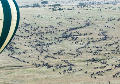 13 Days and 12 Nights in Africa