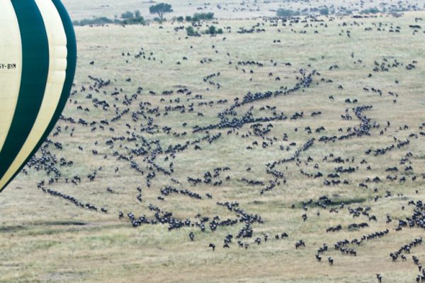 13 Days and 12 Nights in Africa