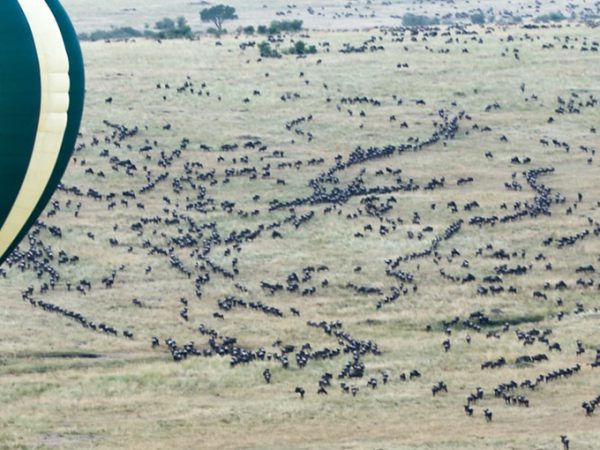 13 Days and 12 Nights in Africa
