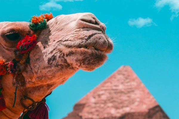 8 Days 7 Nights in Egypt