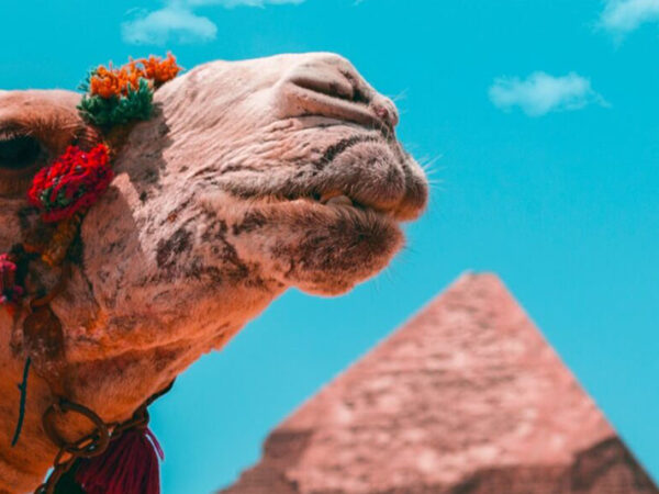 8 Days 7 Nights in Egypt