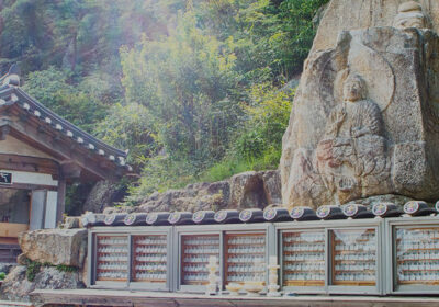 8 Days and 7 Nights in Korea
