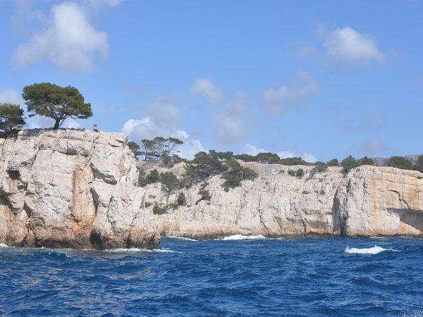 Calanques Catamaran Tour and Standup Paddle