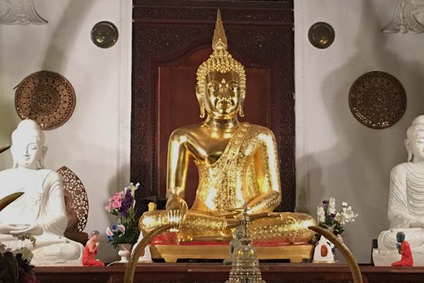5 Days in Sri Lanka